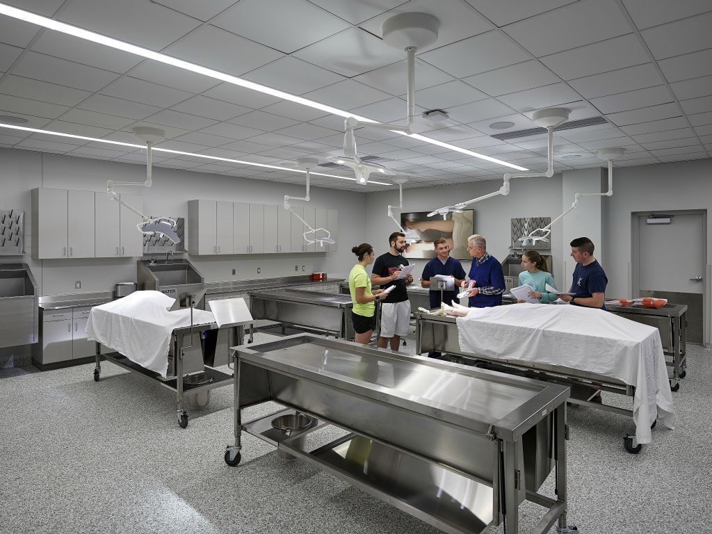 A human anatomy lab is part of the graduate phase of physical therapy program